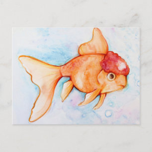 Fancy Oranda Goldfish Postcard