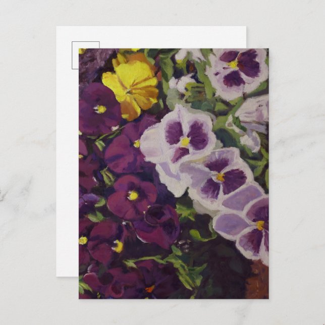 Fancy Pants Pansies Colourful Floral Postcard (Front/Back)