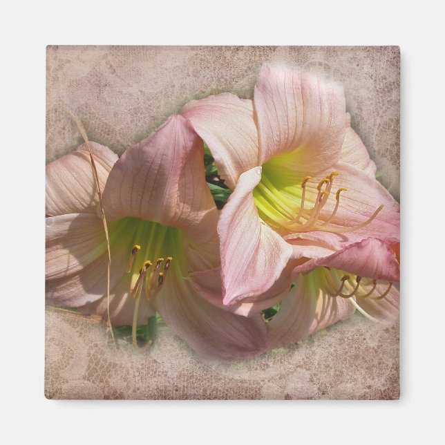 Fancy Pink Daylilies Magnet (Front)