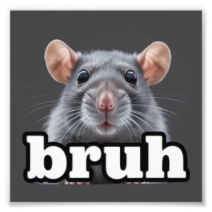 Fancy Rat Rodent Owner Meme Bruh Pet Rat Lover Photo Print
