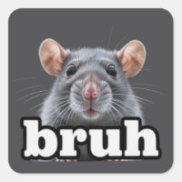 Fancy Rat Rodent Owner Meme Bruh Pet Rat Lover