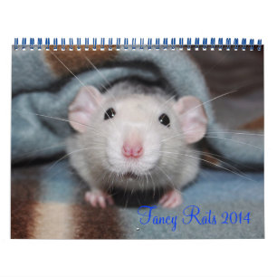 Fancy Rats 2014 Calendar