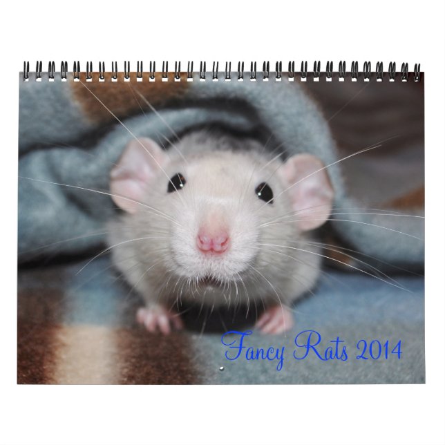 Fancy Rats 2014 Calendar (Cover)