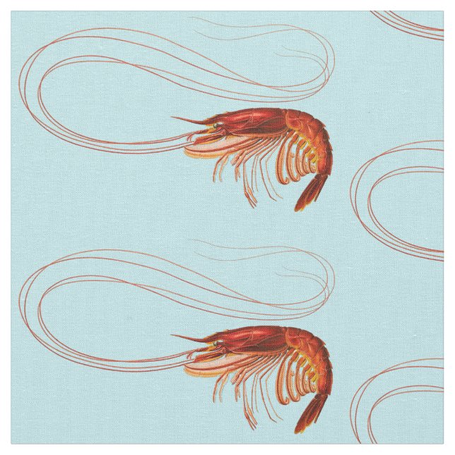 Fancy  Red Crayfish on Blue Fabric (Close Up)