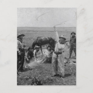 Fancy Roping Postcard