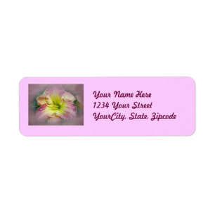 Fancy rose Daylily Blossom