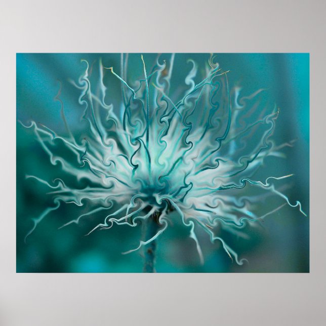 Fancy Seed Head Poster (Front)