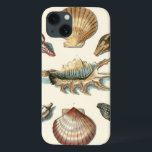 Fancy Shell Beach iPhone 13 Case<br><div class="desc">George Wolfgang Knorr is known for the delicate detail and precision of his illustrations of shells and starfish. His drawings were influenced by his own interest in science, a popular subject matter of his era.</div>
