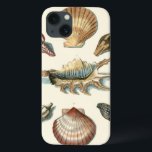 Fancy Shell Beach iPhone 13 Case<br><div class="desc">George Wolfgang Knorr is known for the delicate detail and precision of his illustrations of shells and starfish. His drawings were influenced by his own interest in science, a popular subject matter of his era.</div>