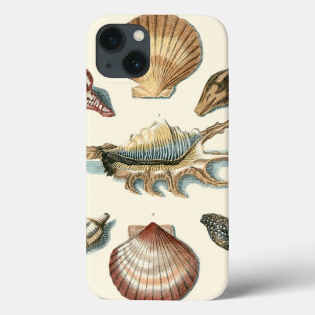 Fancy Shell Beach Case-Mate iPhone Case (Back)