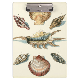 Fancy Shell Beach Clipboard