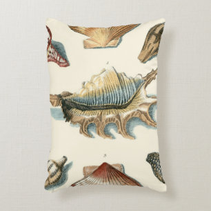 Fancy Shell Beach Decorative Pillow