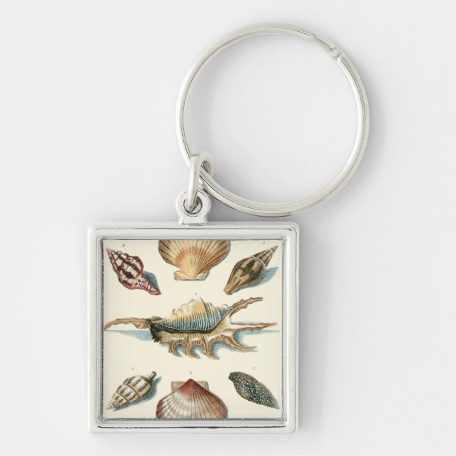 Fancy Shell Beach Keychain (Front)