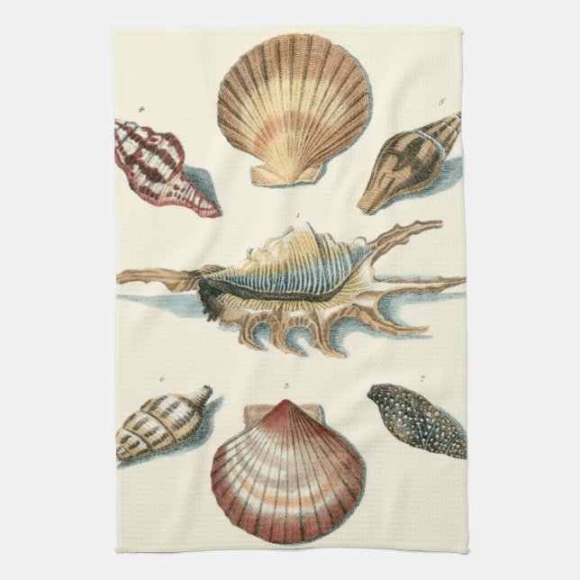 Fancy Shell Beach Kitchen Towel (Vertical)