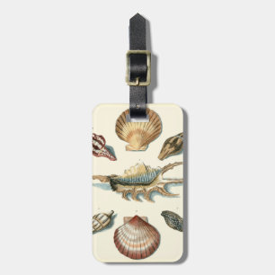 Fancy Shell Beach Luggage Tag