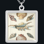 Fancy Shell Beach Silver Plated Necklace<br><div class="desc">George Wolfgang Knorr is known for the delicate detail and precision of his illustrations of shells and starfish. His drawings were influenced by his own interest in science,  a popular subject matter of his era.</div>