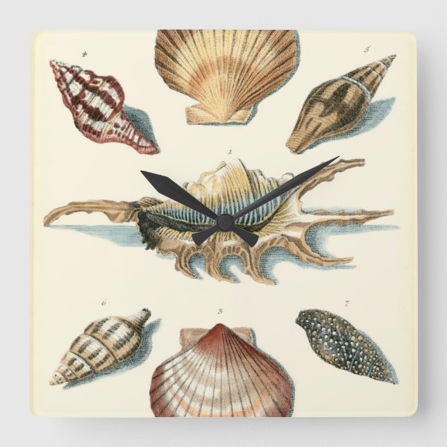 Fancy Shell Beach Square Wall Clock (Front)