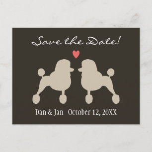Fancy Standard Poodles Wedding Save the Date Announcement Postcard