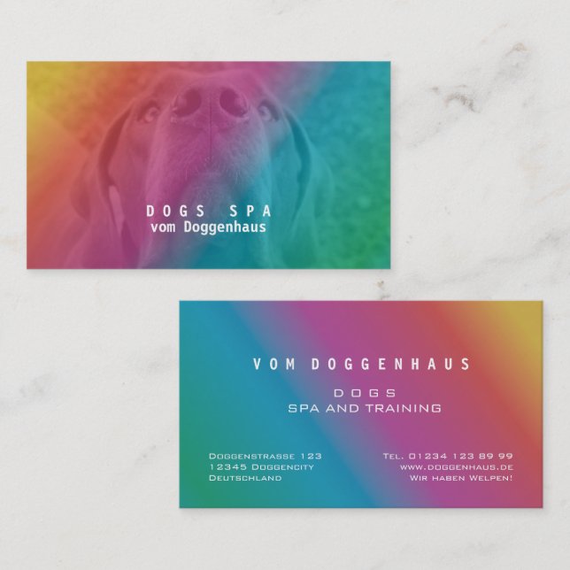 Fancy Use your Own Image Rainbow Business Card (Front/Back)