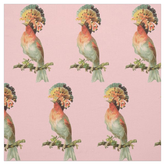 Fancy Vintage Bird Fabric (Swatch)