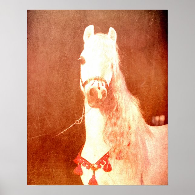 Fancy White Circus Pony Vintage Gypsy Style Poster (Front)