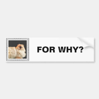 Fangsy bumper sticker #2