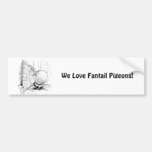 Fantail 1978 Saddle Bumper Sticker