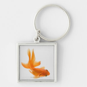 Fantail goldfish (Carassius auratus) 2 Keychain