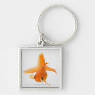 Fantail goldfish (Carassius auratus) Keychain