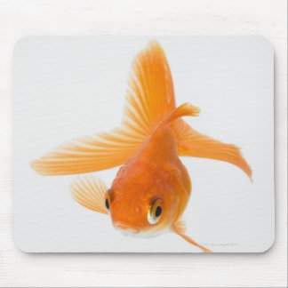 Fantail goldfish (Carassius auratus) Mouse Pad