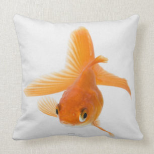 Fantail goldfish (Carassius auratus) Throw Pillow