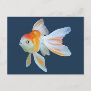 Fantail Goldfish Watercolor Postcard