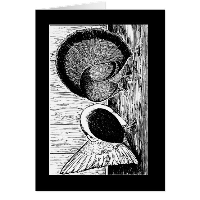 Fantail Pair (Devant)