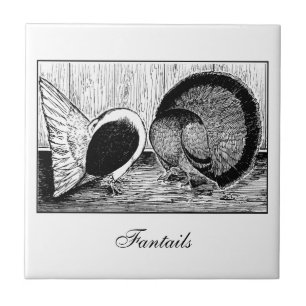 Fantail Pair Tile