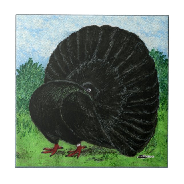 Fantail Pigeon Black Tile (Front)