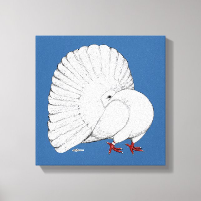 Fantail Pigeon White Canvas Print (Front)