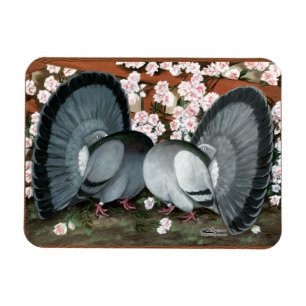 Fantail Pigeons Matched Pair Magnet