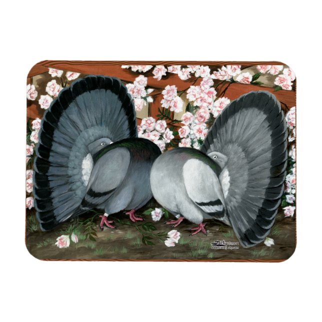 Fantail Pigeons Matched Pair Magnet (Horizontal)