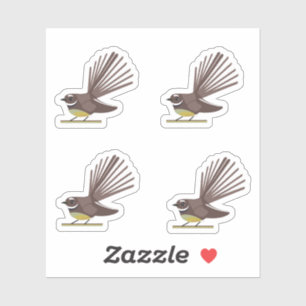 fantail sq no background