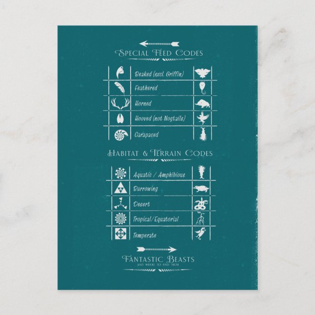 FANTASTIC BEASTS AND WHERE TO FIND THEM™Code Chart Postcard (Front)