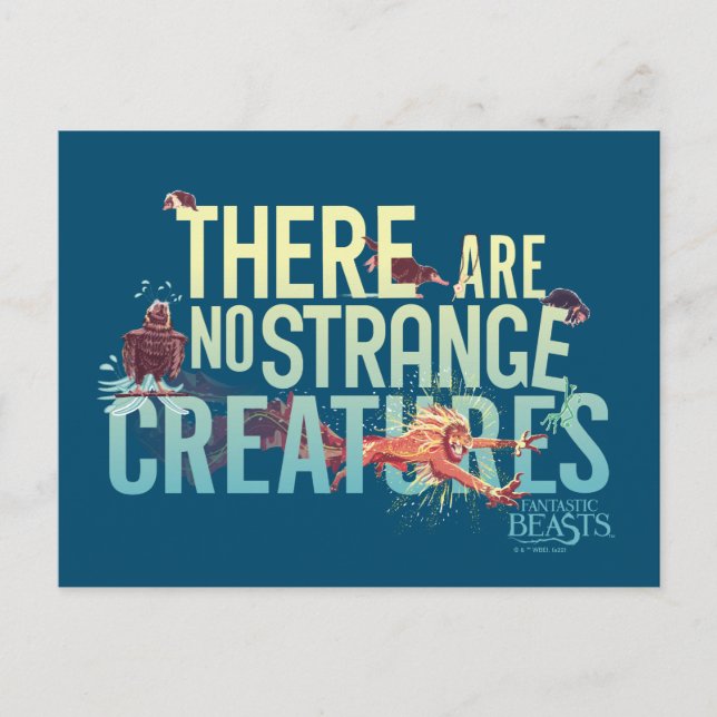 Fantastic Beasts - There Are No Strange Creatures Postcard (Front)