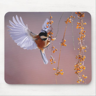 Fantastic Bird Image/ Beautiful Nature Mouse Pad