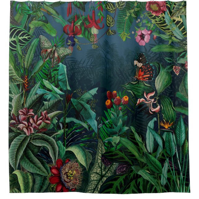 Fantastic Fabulous Midnight Rainforest (Front)