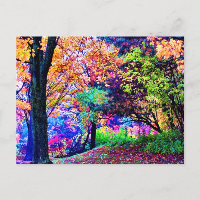 Fantastic Fall Colours Autumn Leaves Trees Scenic Postcard (Front)