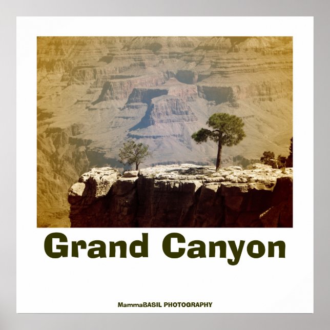 Fantastic Grand Canyon Poster (Front)