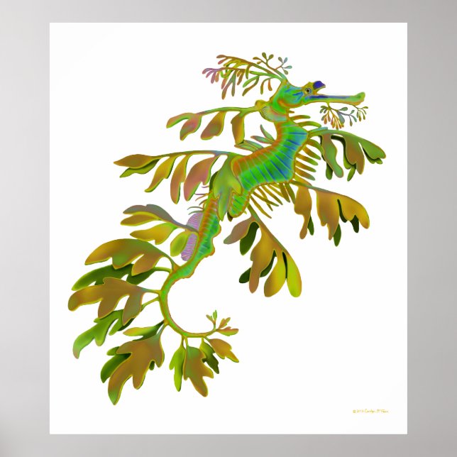 Fantasy Coloured Leafy Sea Dragon Poster (Front)