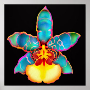 Fantasy Coloured Orchid Flower Poster