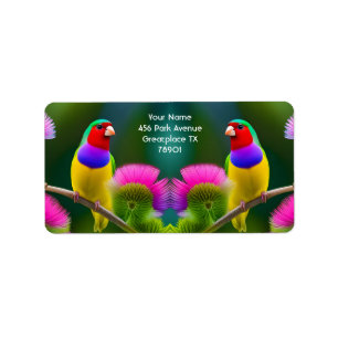 Fantasy Colourful Gouldian Finch Label