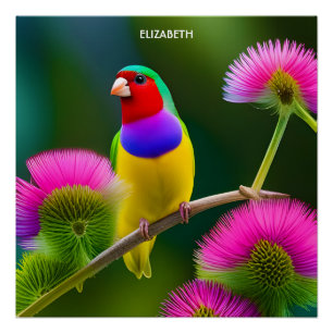 Fantasy Colourful Gouldian Finch Poster