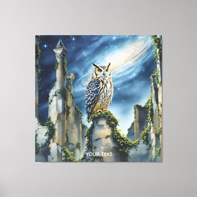 Fantasy Cute Owl Old Ruins Canvas Print (Front)
